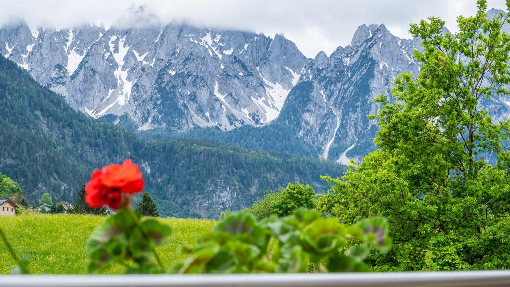 Hotel Haus Friedrich à Gosau Extérieur photo