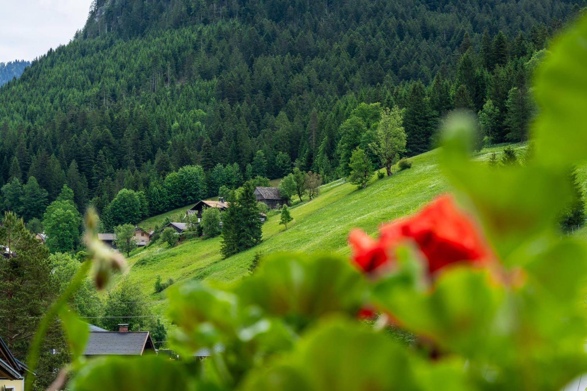Hotel Haus Friedrich à Gosau Extérieur photo